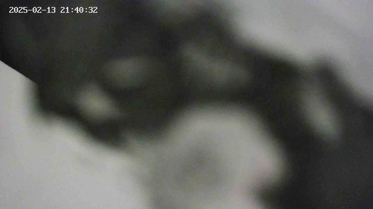 area10-20250213214033.jpg
