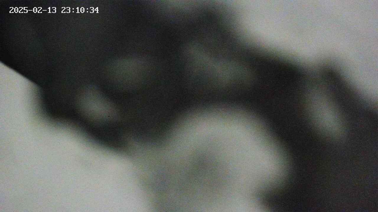 area10-20250213231035.jpg