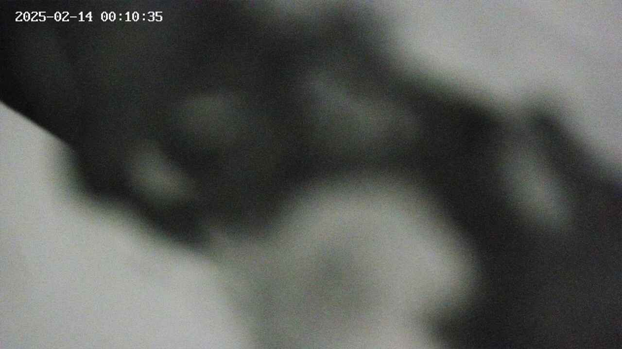 area10-20250214001037.jpg