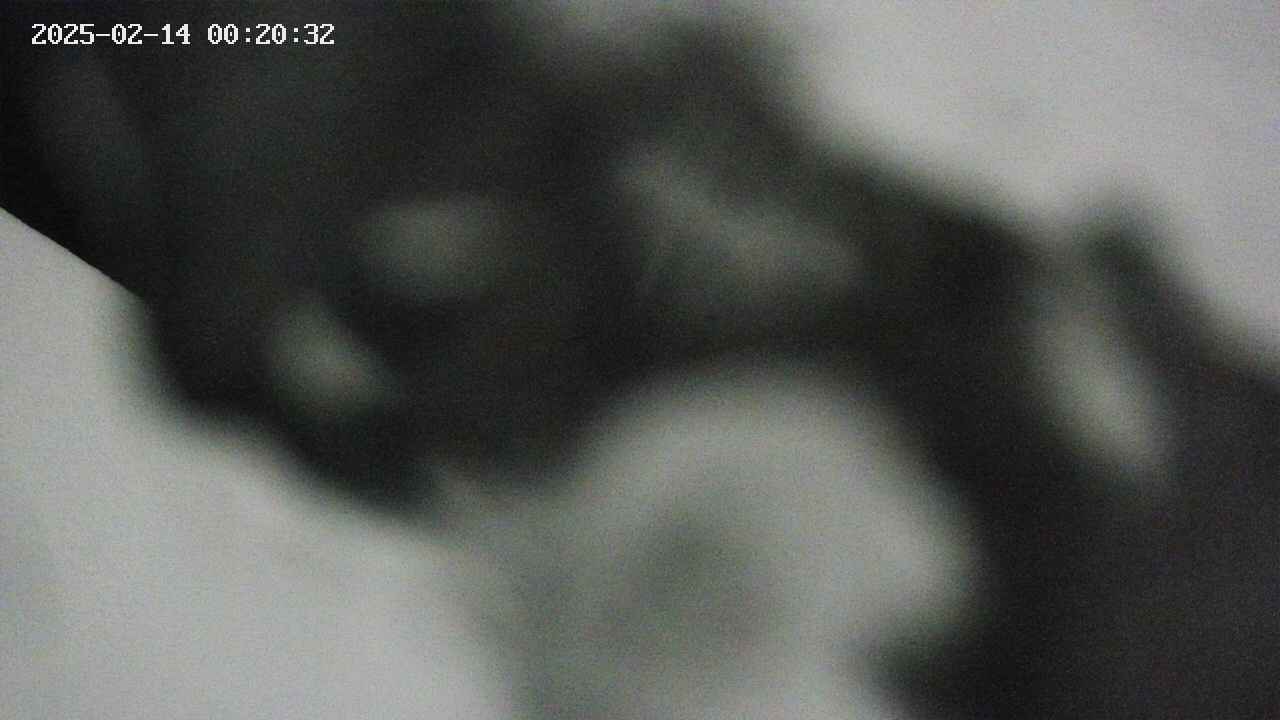 area10-20250214002033.jpg