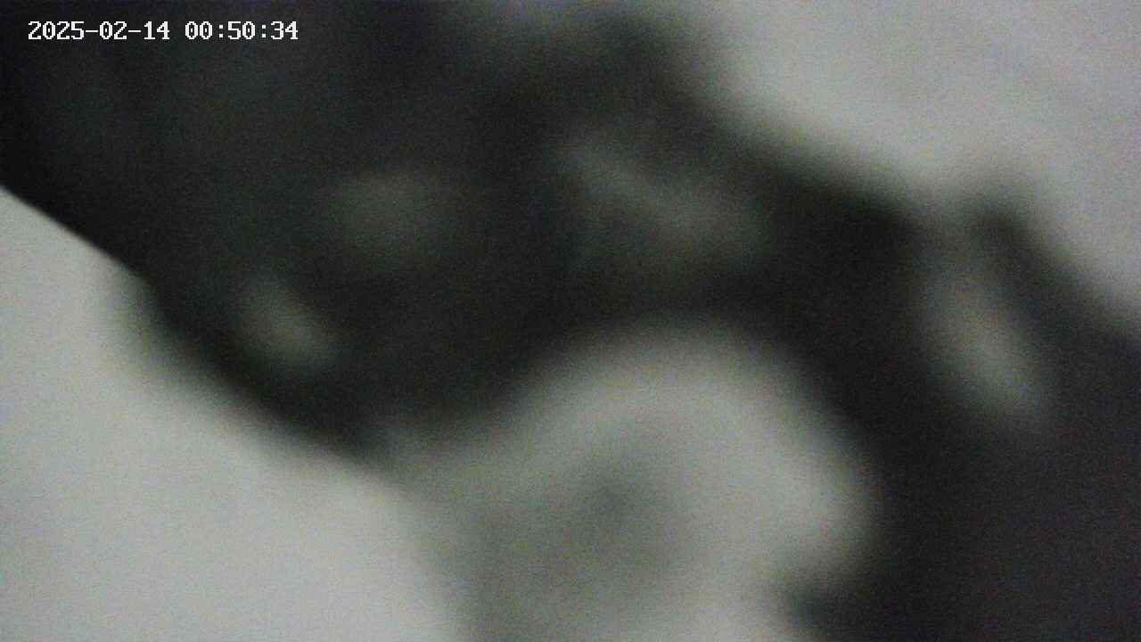 area10-20250214005035.jpg