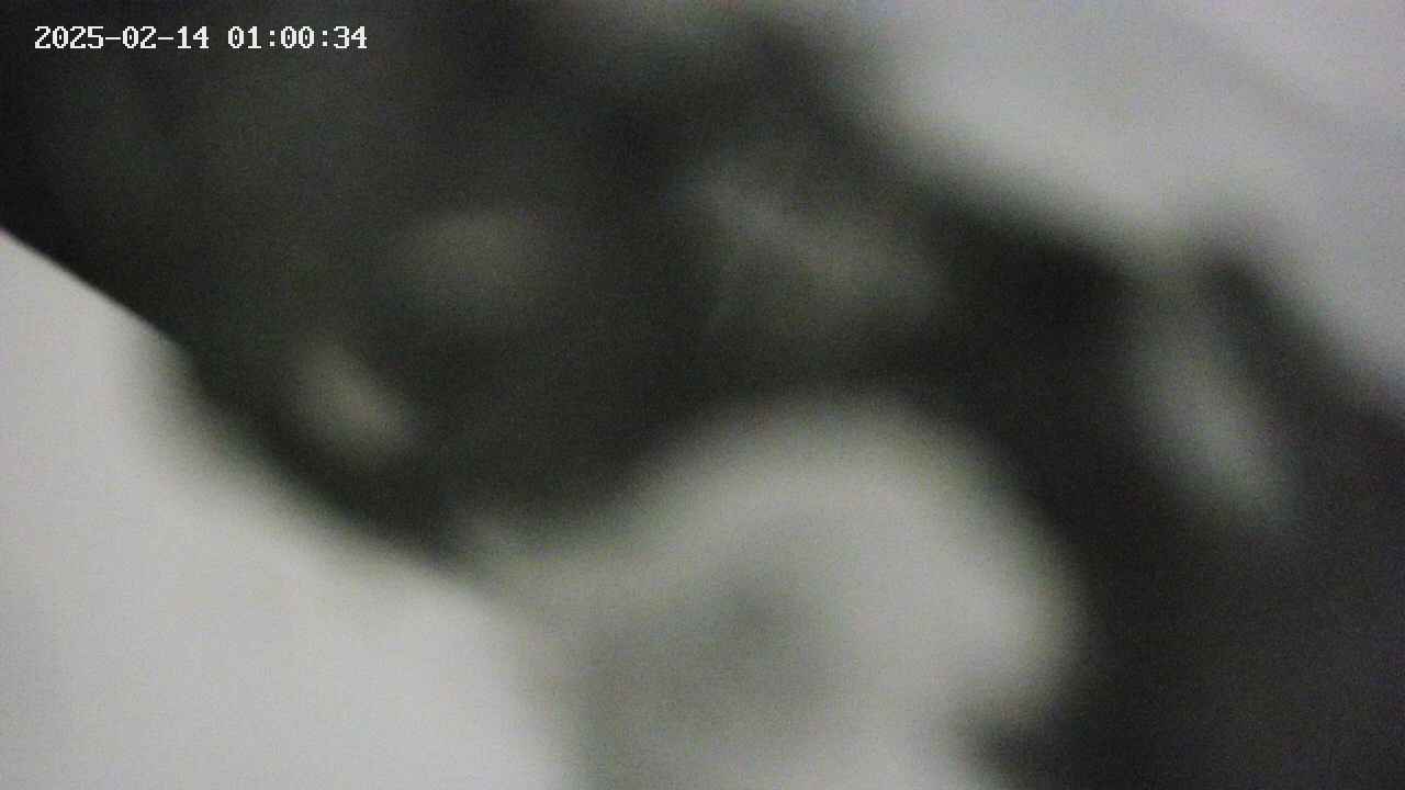 area10-20250214010035.jpg