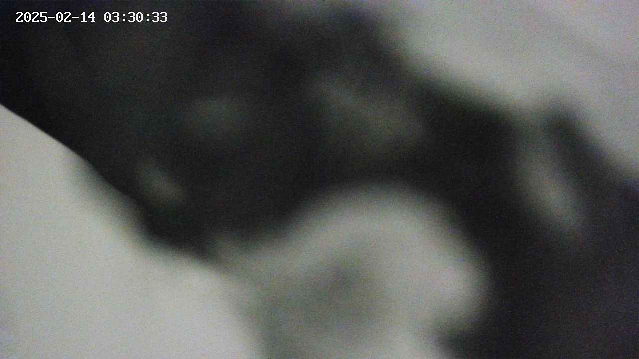 area10-20250214033033.jpg