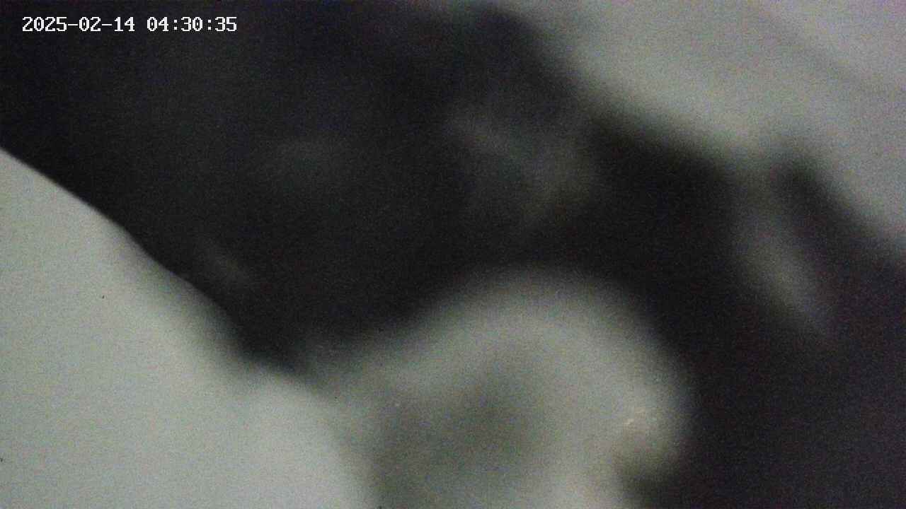 area10-20250214043036.jpg