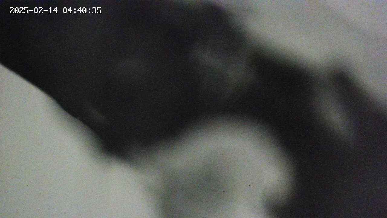area10-20250214044035.jpg