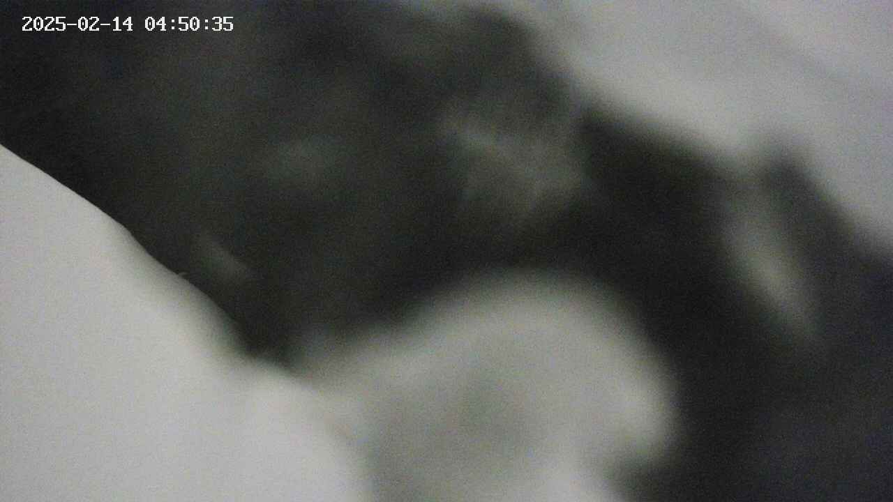 area10-20250214045036.jpg