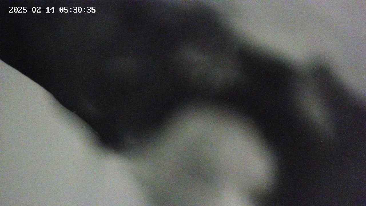 area10-20250214053036.jpg