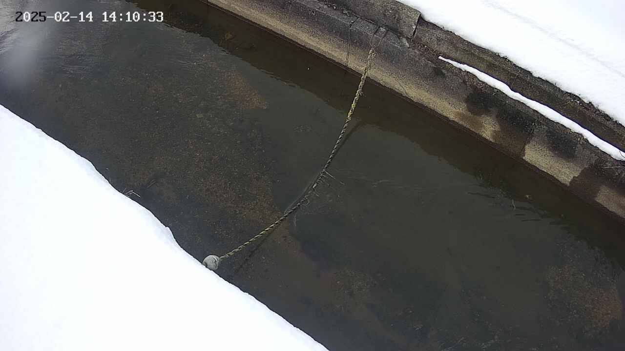 area10-20250214141034.jpg