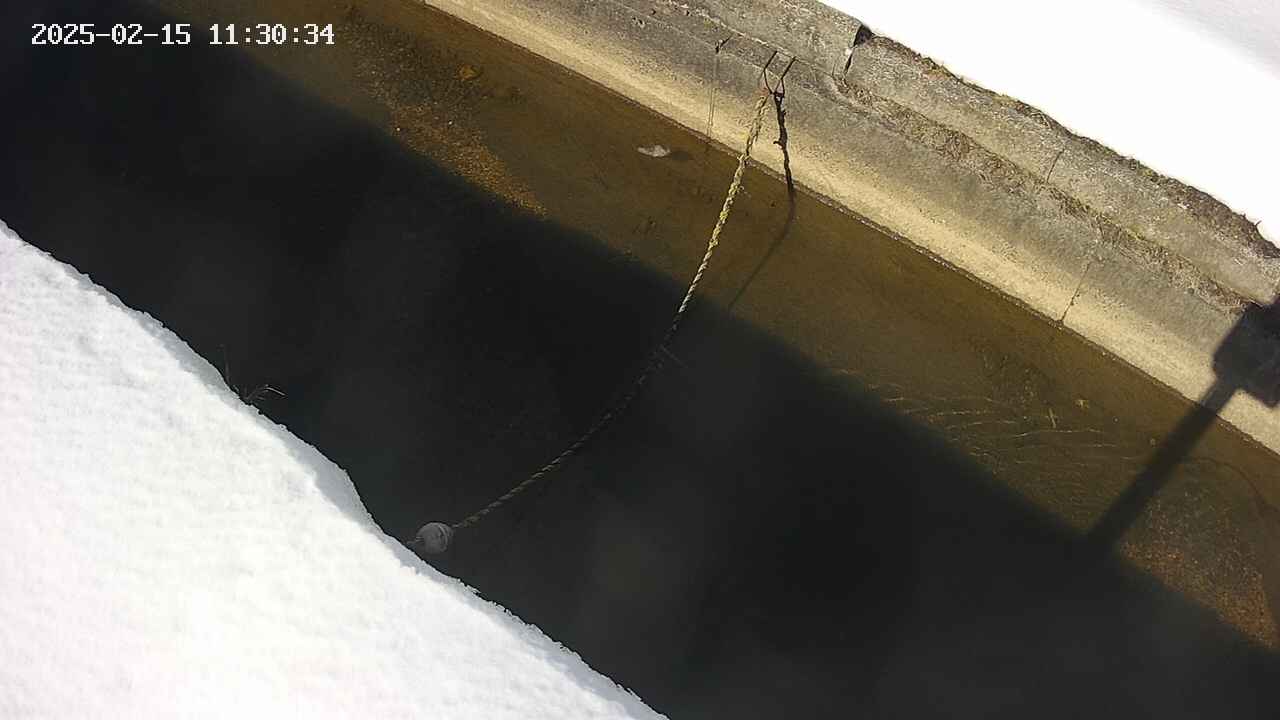 area10-20250215113035.jpg