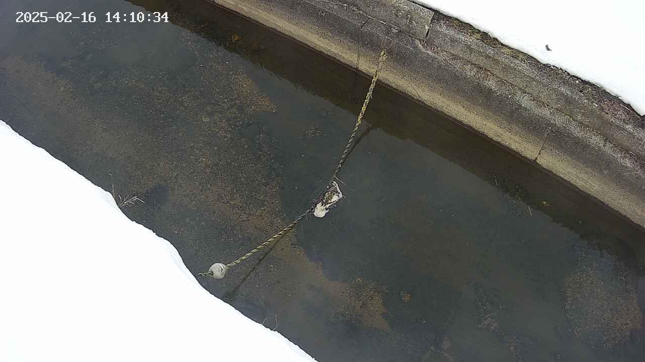 area10-20250216141035.jpg