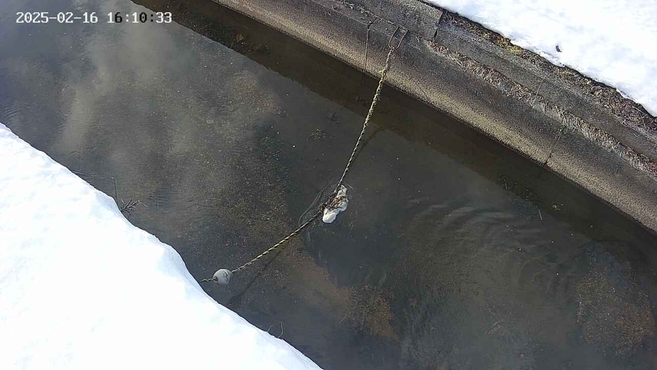 area10-20250216161034.jpg