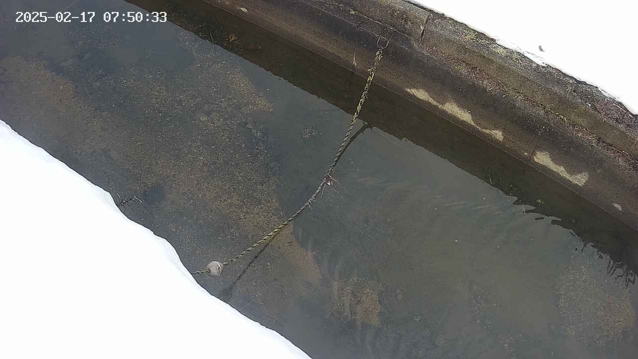 area10-20250217075034.jpg