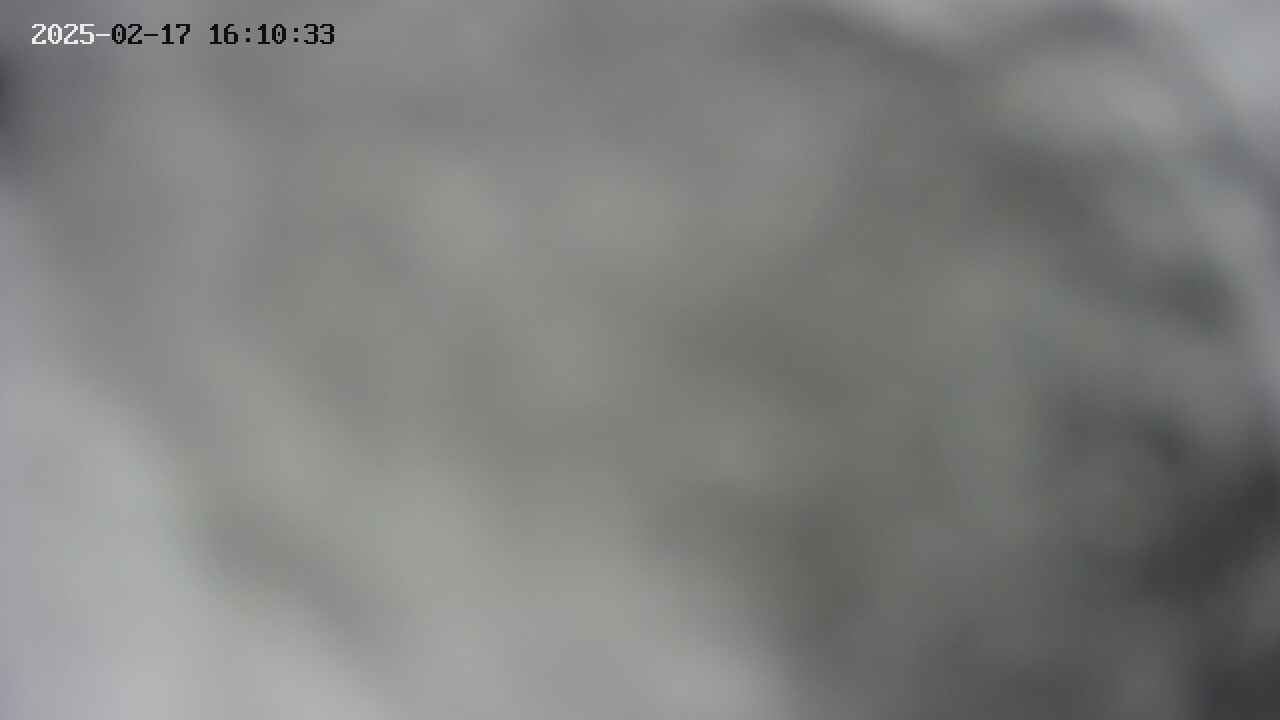 area10-20250217161033.jpg