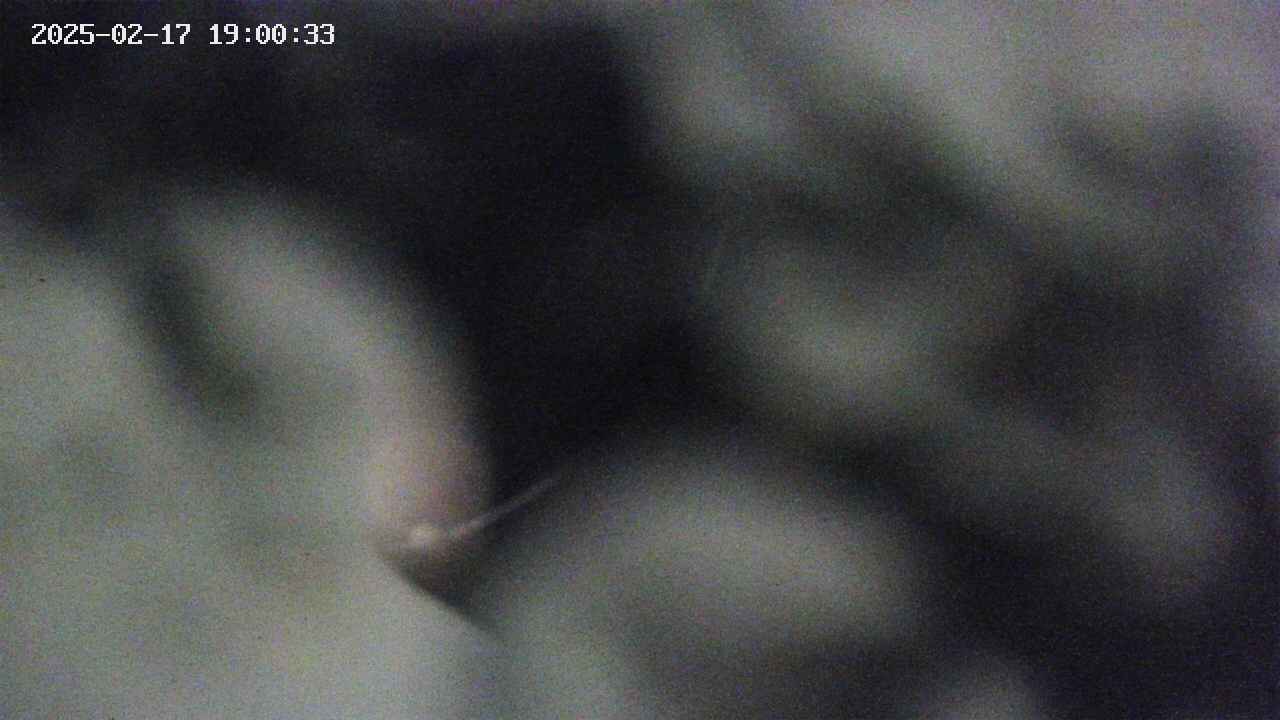 area10-20250217190034.jpg