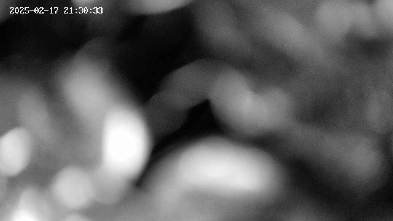 area10-20250217213034.jpg