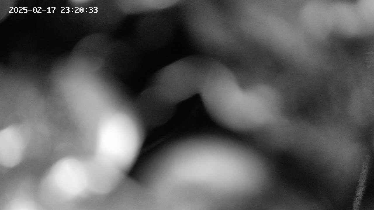 area10-20250217232034.jpg