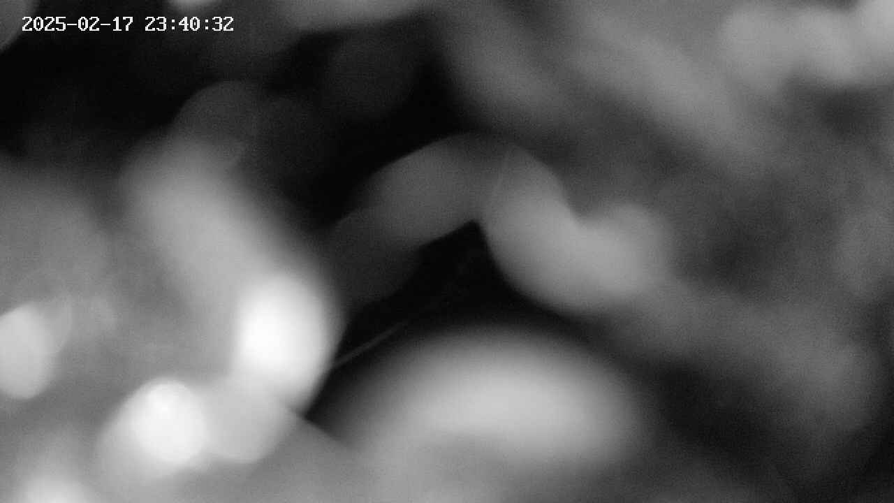 area10-20250217234033.jpg