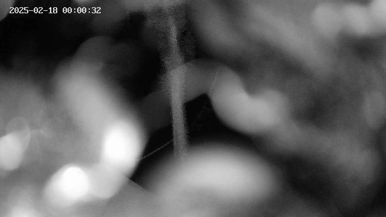 area10-20250218000033.jpg