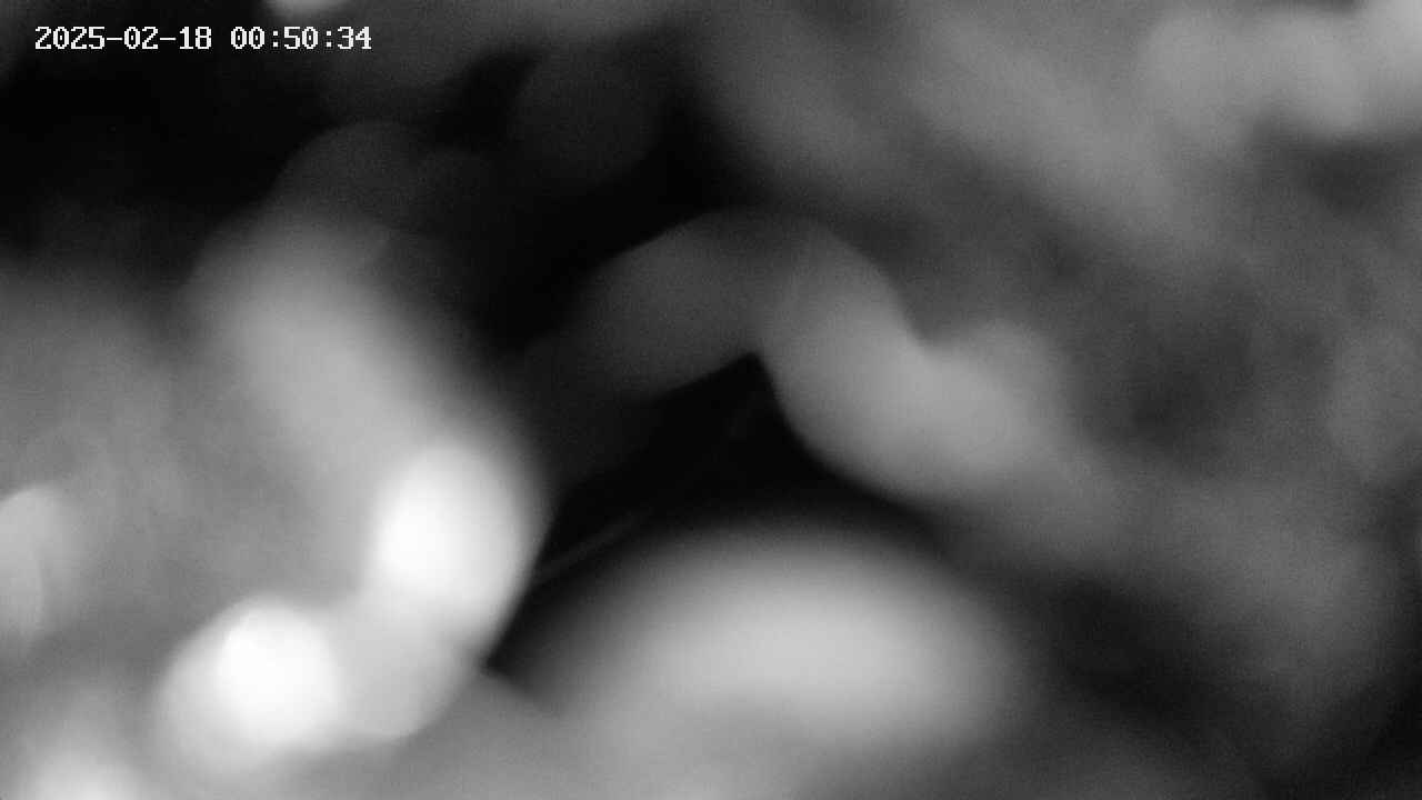 area10-20250218005035.jpg