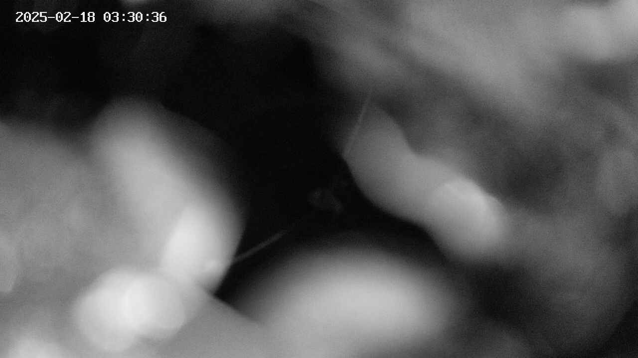 area10-20250218033036.jpg