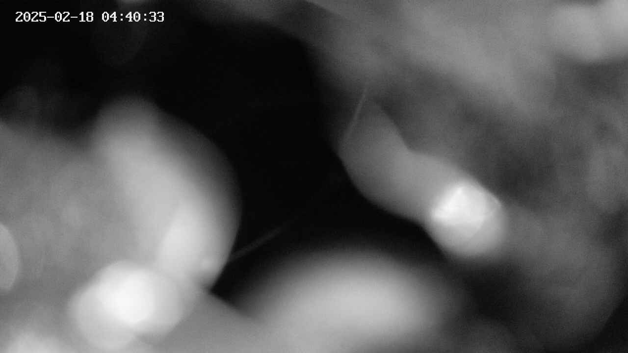 area10-20250218044034.jpg