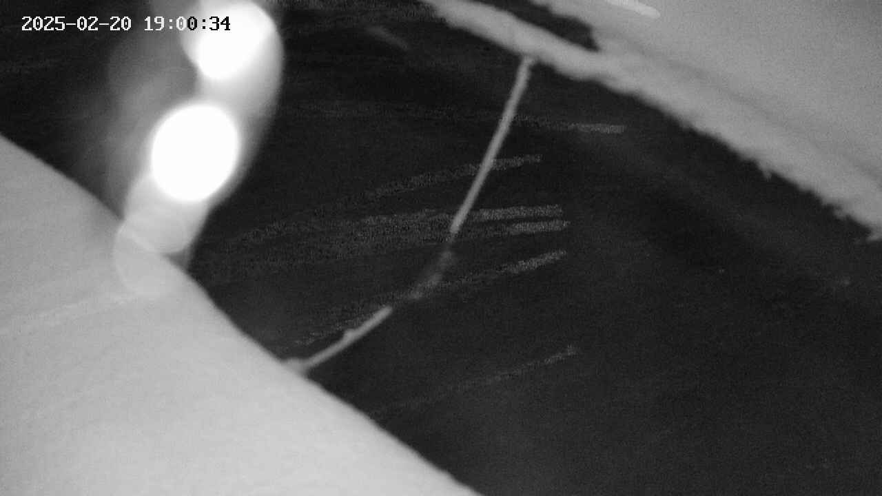 area10-20250220190035.jpg