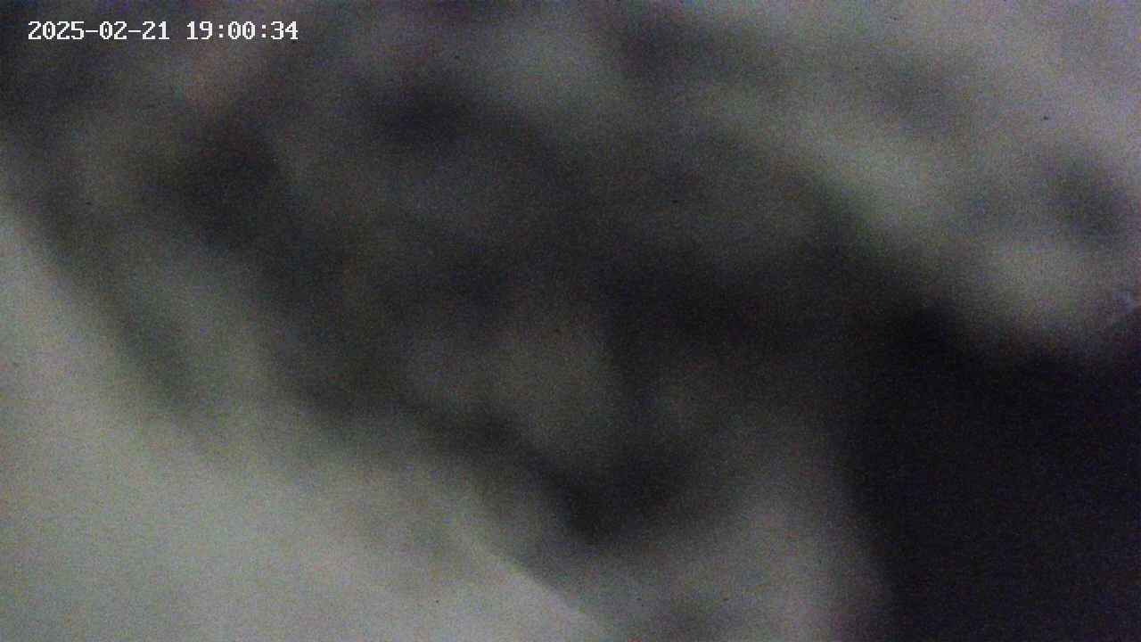 area10-20250221190035.jpg