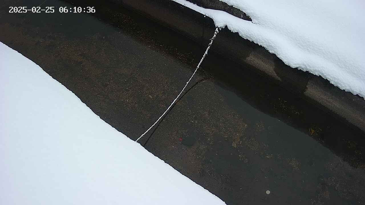 area10-20250225061037.jpg