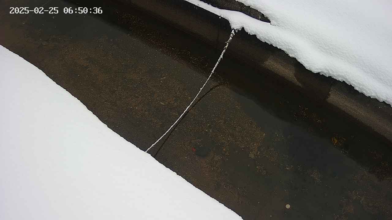 area10-20250225065037.jpg