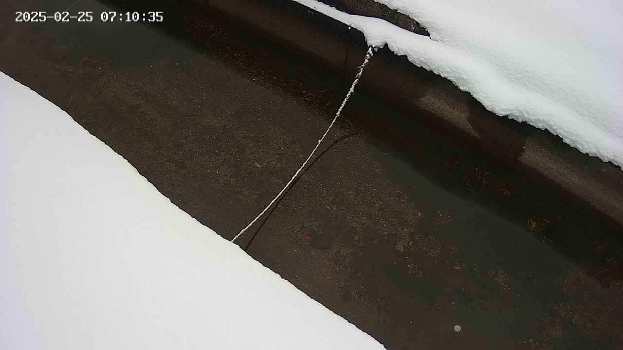 area10-20250225071035.jpg