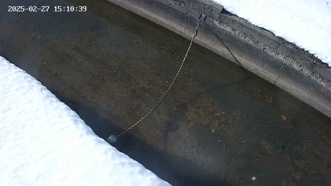 area10-20250227151041.jpg
