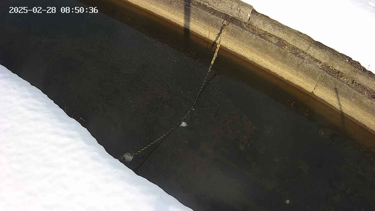 area10-20250228085036.jpg
