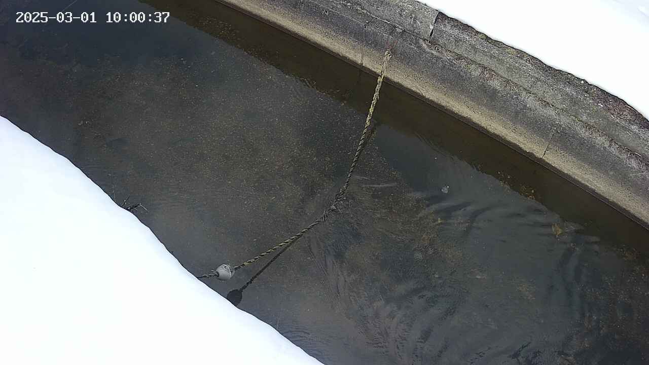 area10-20250301100038.jpg
