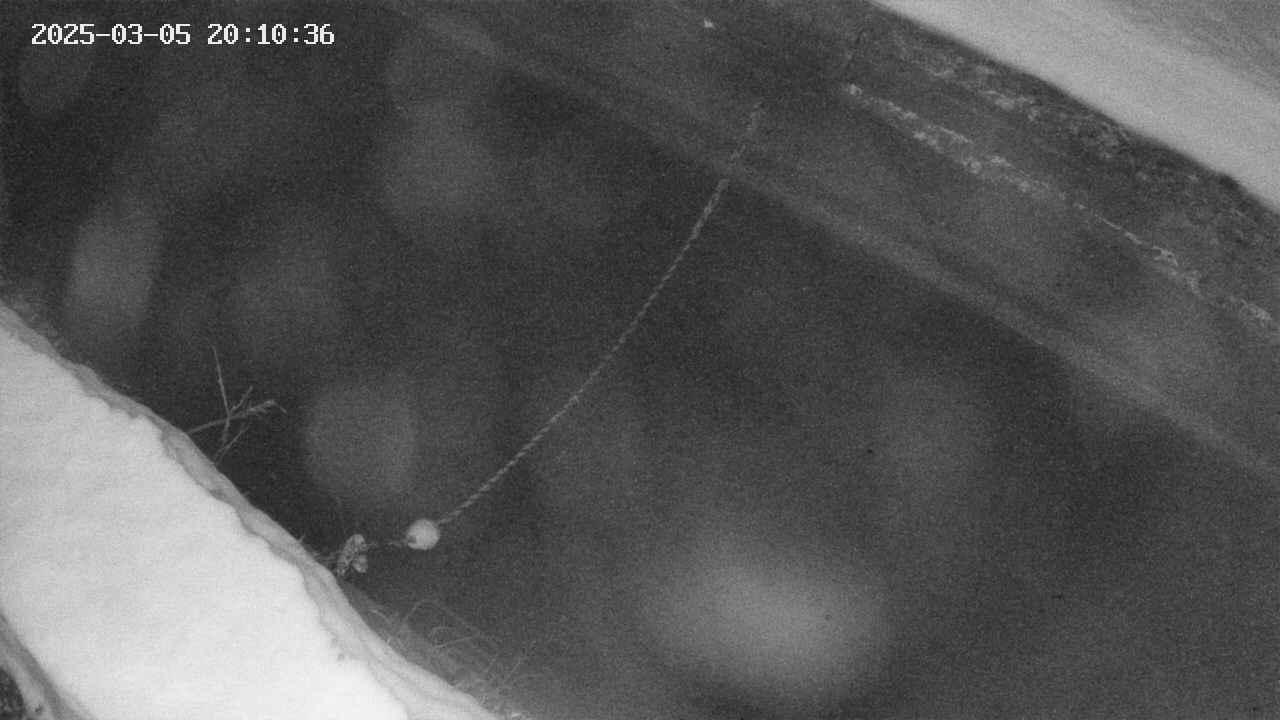 area10-20250305201036.jpg