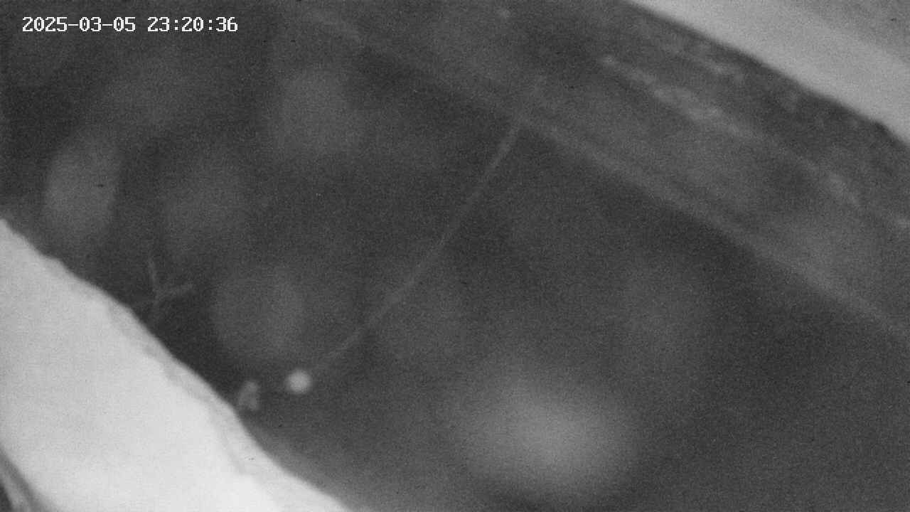area10-20250305232037.jpg