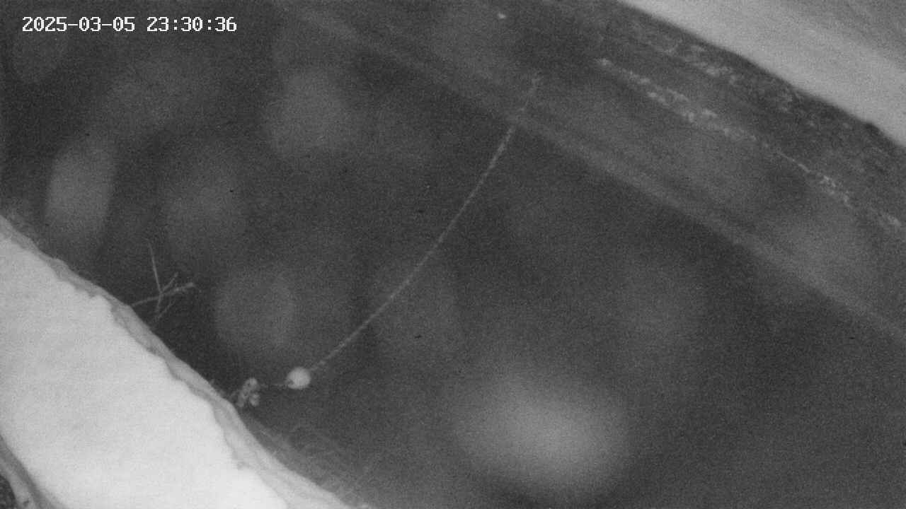 area10-20250305233036.jpg
