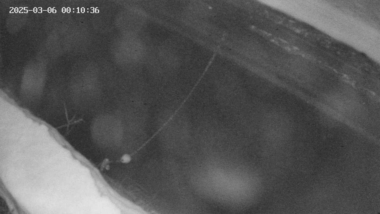 area10-20250306001036.jpg