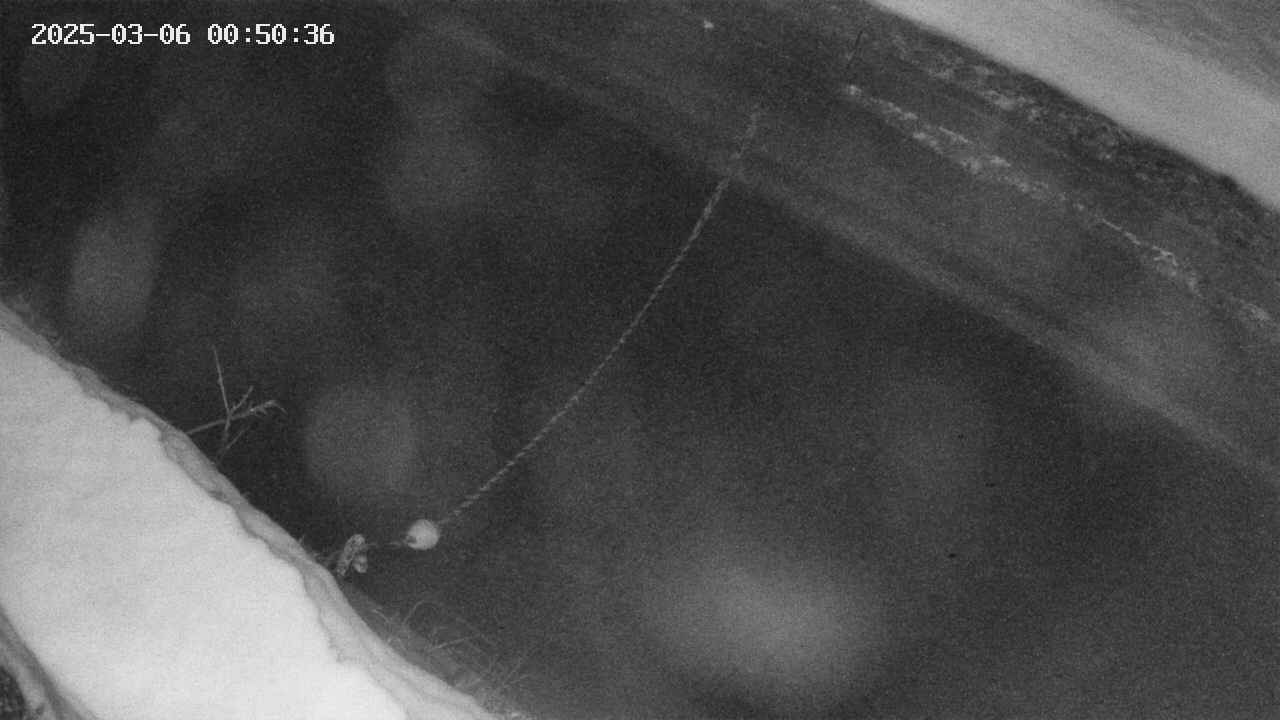 area10-20250306005036.jpg