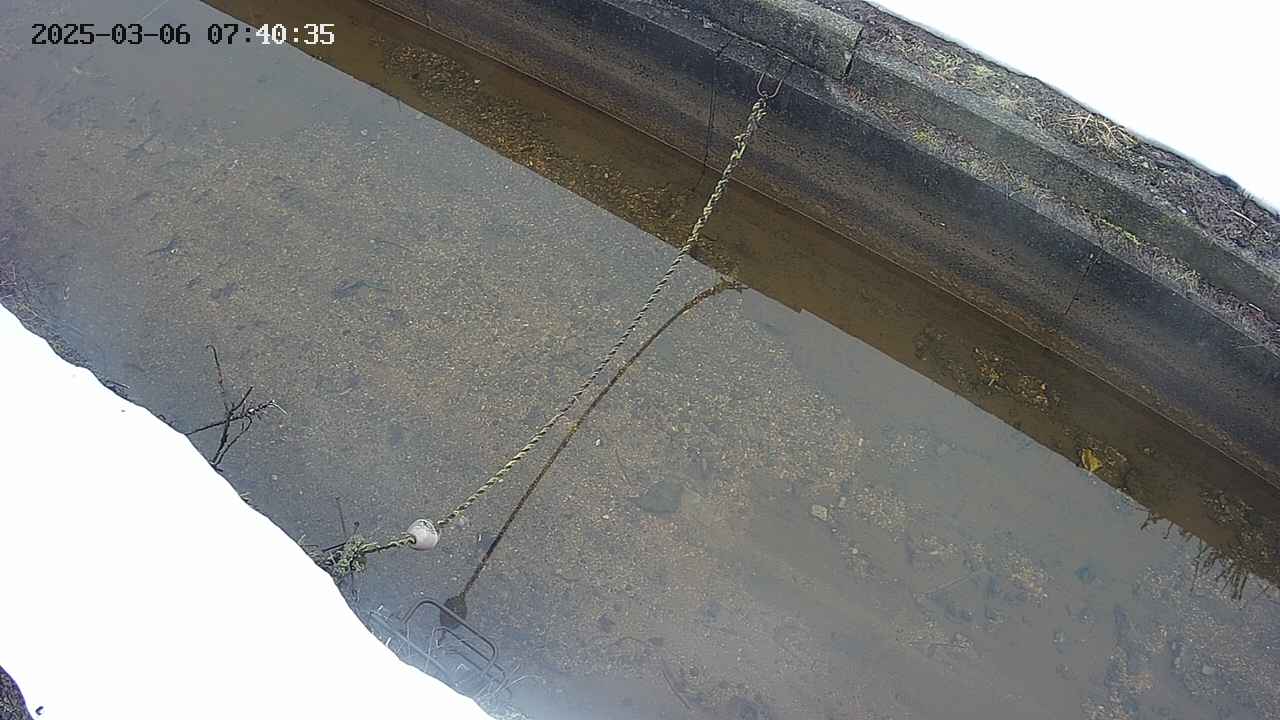area10-20250306074036.jpg