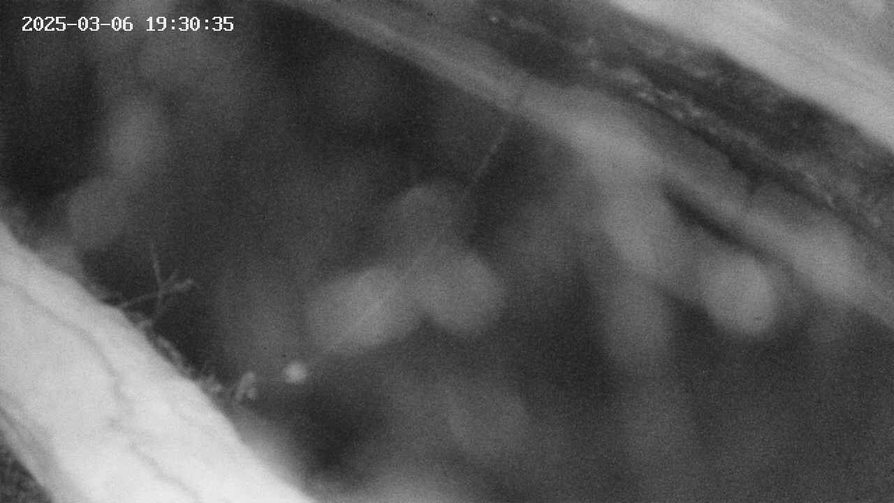 area10-20250306193036.jpg