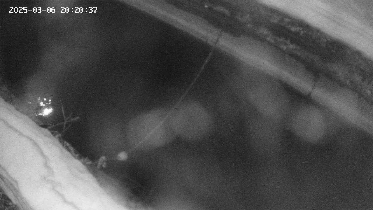 area10-20250306202038.jpg