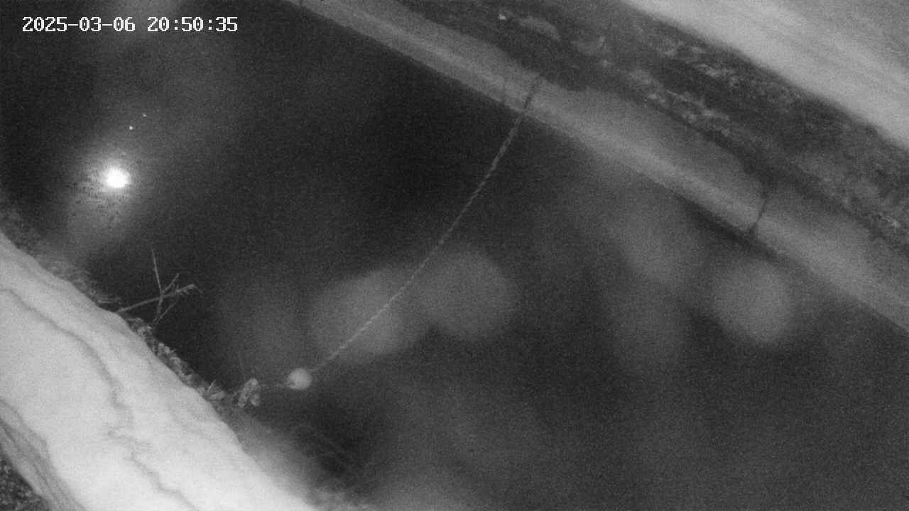 area10-20250306205036.jpg