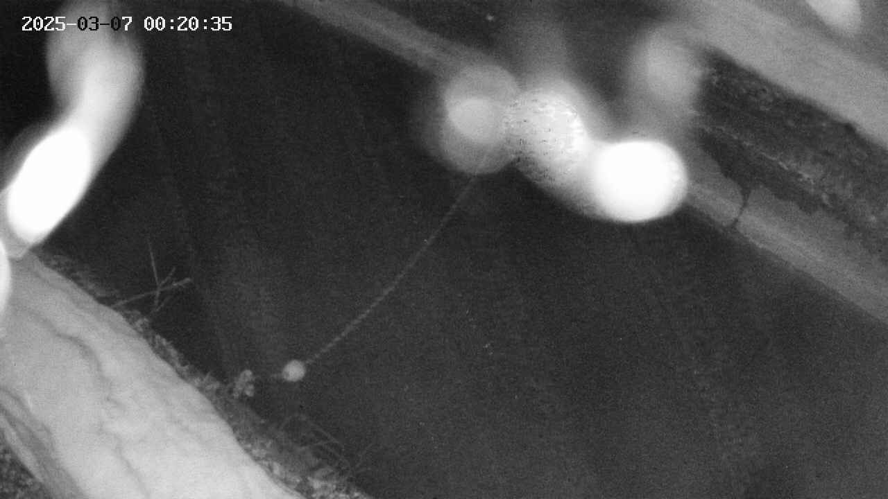 area10-20250307002036.jpg