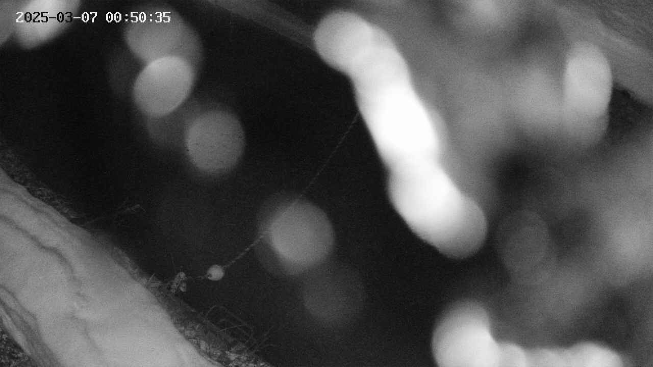 area10-20250307005036.jpg