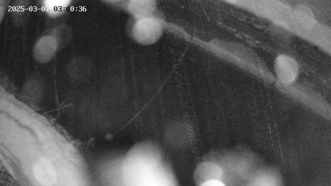 area10-20250307030036.jpg