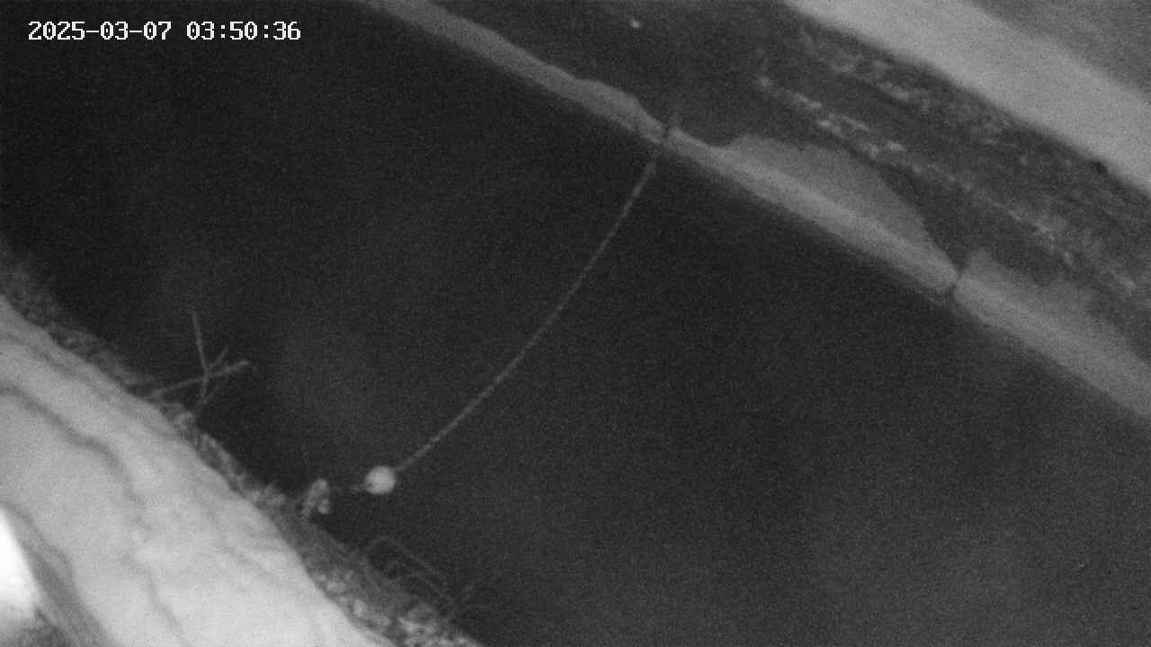 area10-20250307035037.jpg