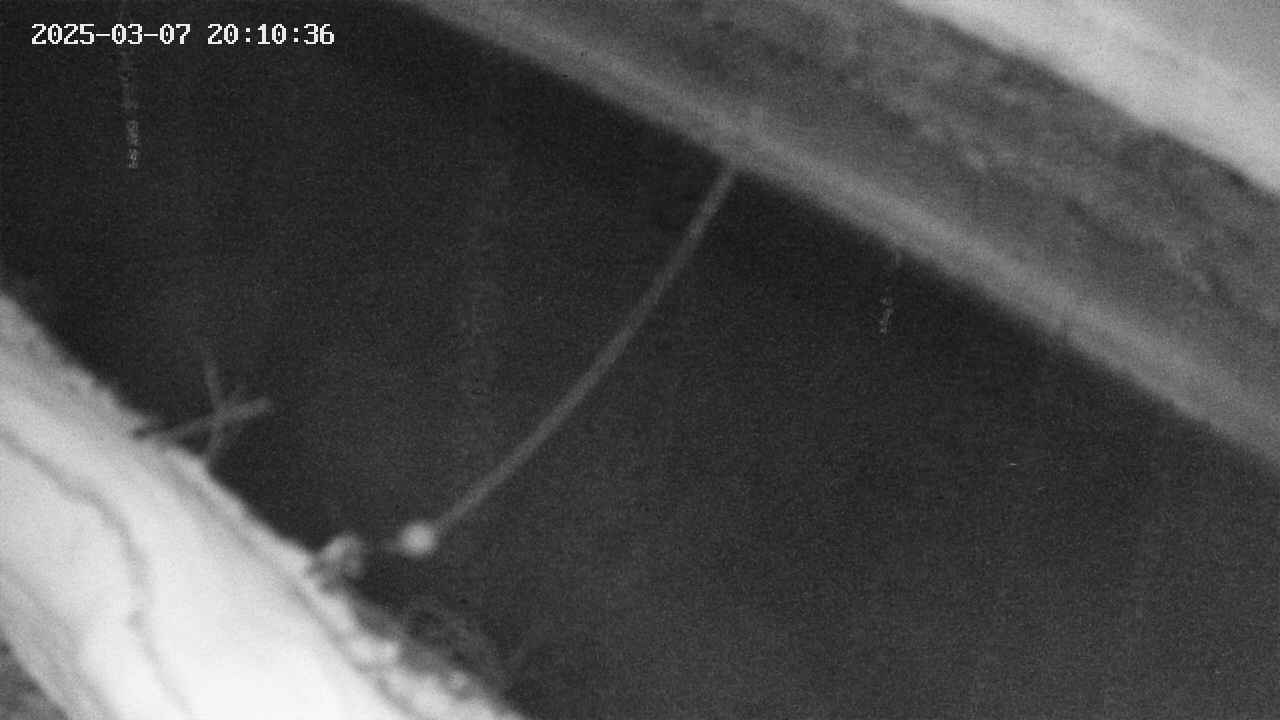 area10-20250307201036.jpg