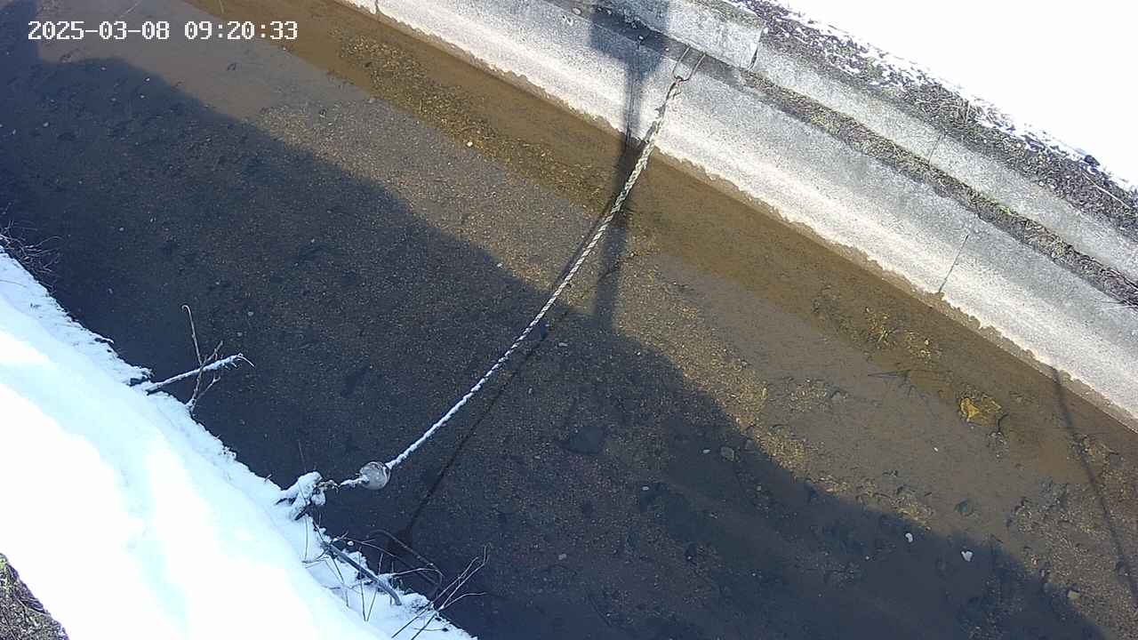 area10-20250308092034.jpg