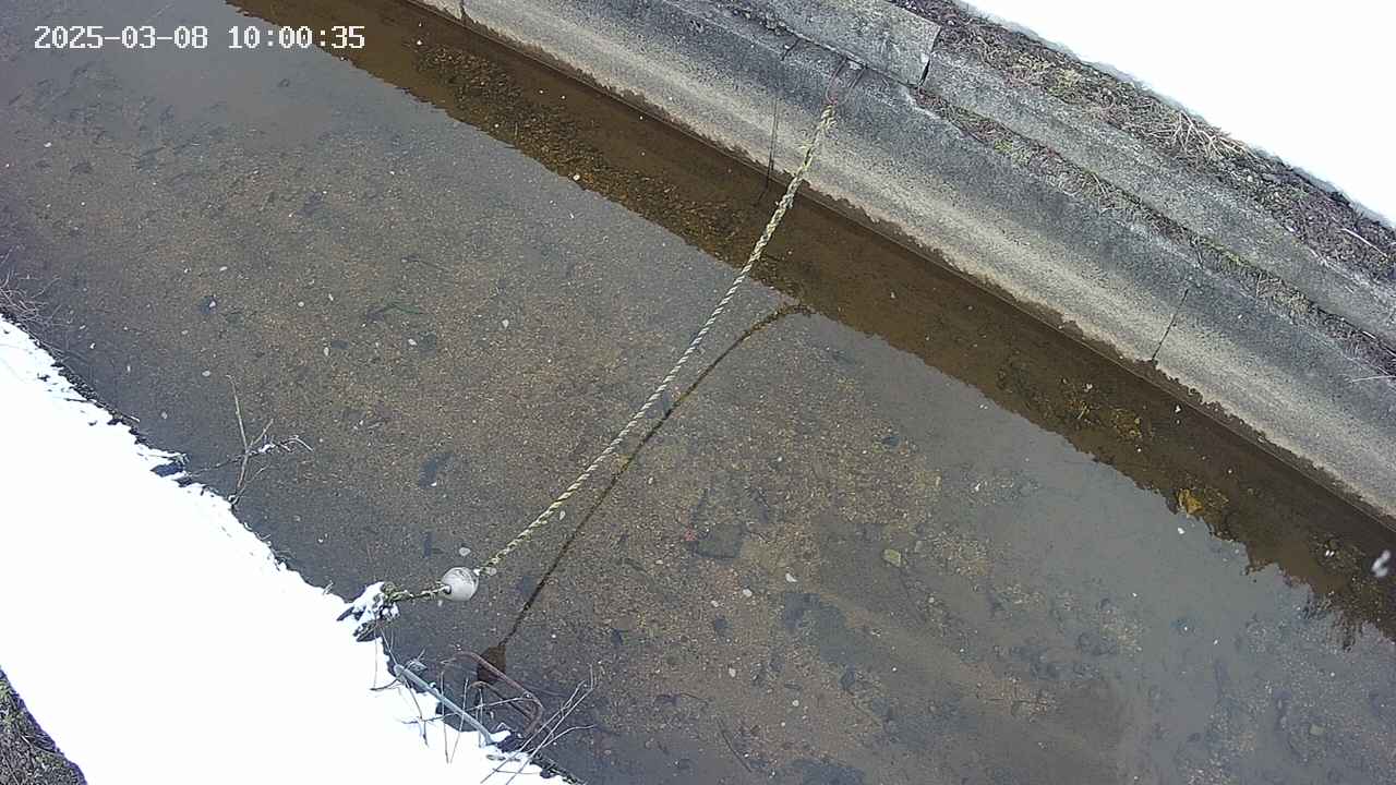area10-20250308100036.jpg