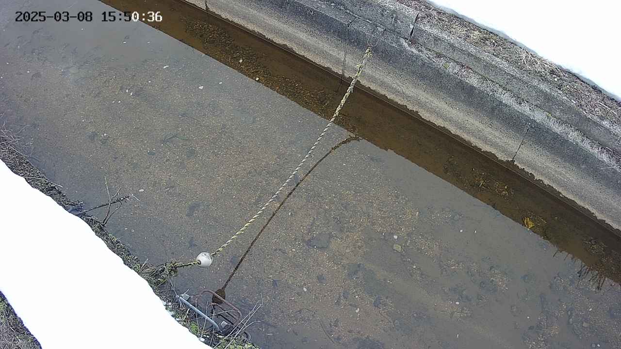 area10-20250308155037.jpg